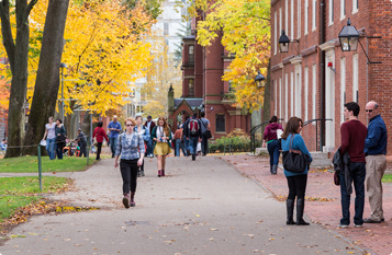 在线手机号轰炸测试